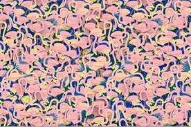 7道题考眼力，看看你能答对多少？图片