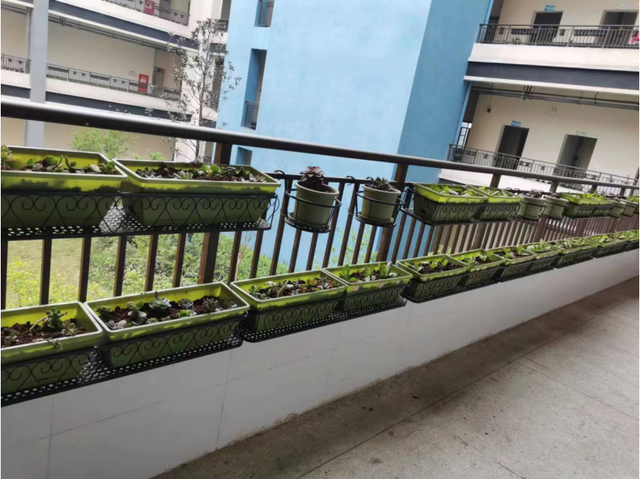 四川省民生研究会新媒体中心-官网