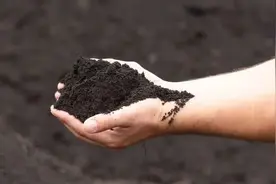 推进黑土区侵蚀沟治理，为何如此重要？图片