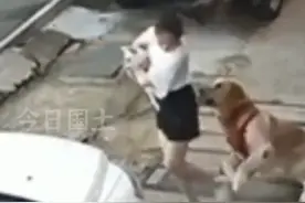 金毛未栓绳扑倒女子撕咬怀中小狗！知情人：女子被咬，全身多处擦伤，律师：狗主人应承担全部责任！图片