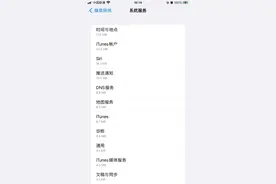 苹果偷跑流量官方解决方法测试图片