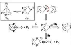 Sci. Adv.：[P₉]⁺阳离子图片