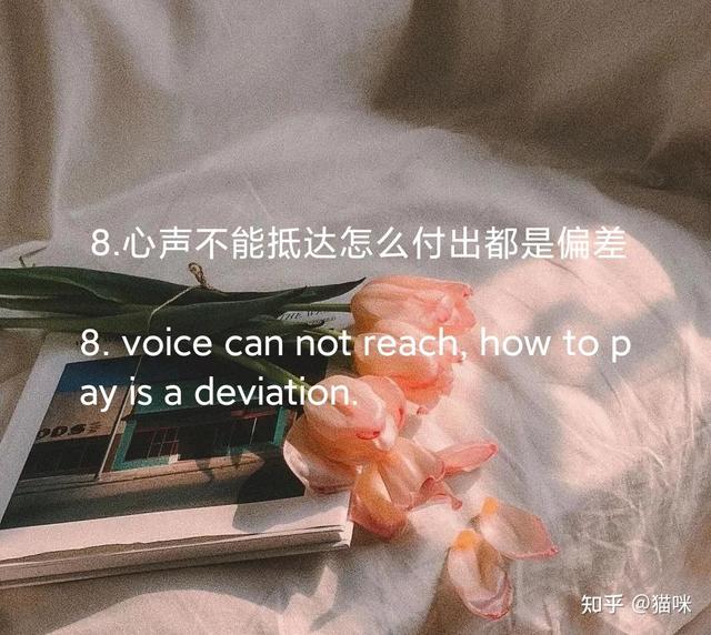 朋友圈文案|温柔美好的小句子|中英
