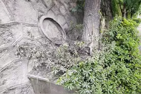 把火灾扼杀在“摇篮”里 贵阳公交师傅勇敢灭火图片