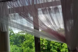 外嫁女回娘家盖房合不合适？图片