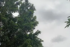 三百年疑问：乾隆皇帝生母是谁？从他们留下的相片中可以找到答案图片