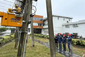 从化供电局全力以赴圆满完成春节期间保电任务图片