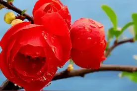 一个女人爱你越真，越会向你索要“这三样”东西，不是贪、而是爱图片