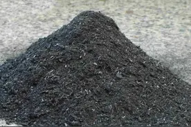 草木灰效果不明显？那是你没用对方法，老农教你正确使用方法图片