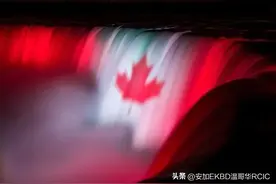 办理加拿大移民 持牌顾问的“套路”有时比无牌“幽灵顾问”还要深图片
