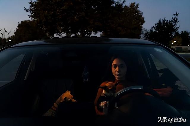 成人网站危害极大，国家却无法彻底根除，背后是何原因