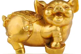 2023年下半年，生肖猪注意这两大禁忌图片