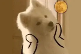 陪你看过2022年第一个日出，又怎能少了2022年第一轮满月图片