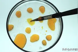 细胞培养基行业研究：小赛道，大未来图片