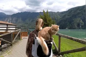 一个人旅行，遇到了一只“旅行猫”，竟成旅途中最亮眼的“明星”图片