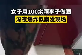 李子酒爆炸半夜吓醒全家！图片