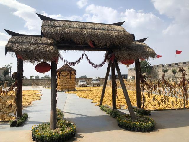 农历7月14出生的女孩命运怎么样,生辰八字都是啥,古人如何用天干地支