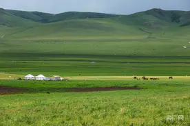 航瞰内蒙古｜扎鲁特旗百万亩生态草原：如诗般浪漫 如画般美丽图片