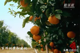 春天里的中国｜这位代表向群众道一声“多谢了”图片