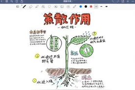 秒变学霸！8款拯救学生党的笔记APP图片