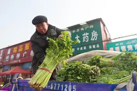老农卖70斤芹菜仅赚14元，却被市监局罚10万，法院判决大快人心！图片