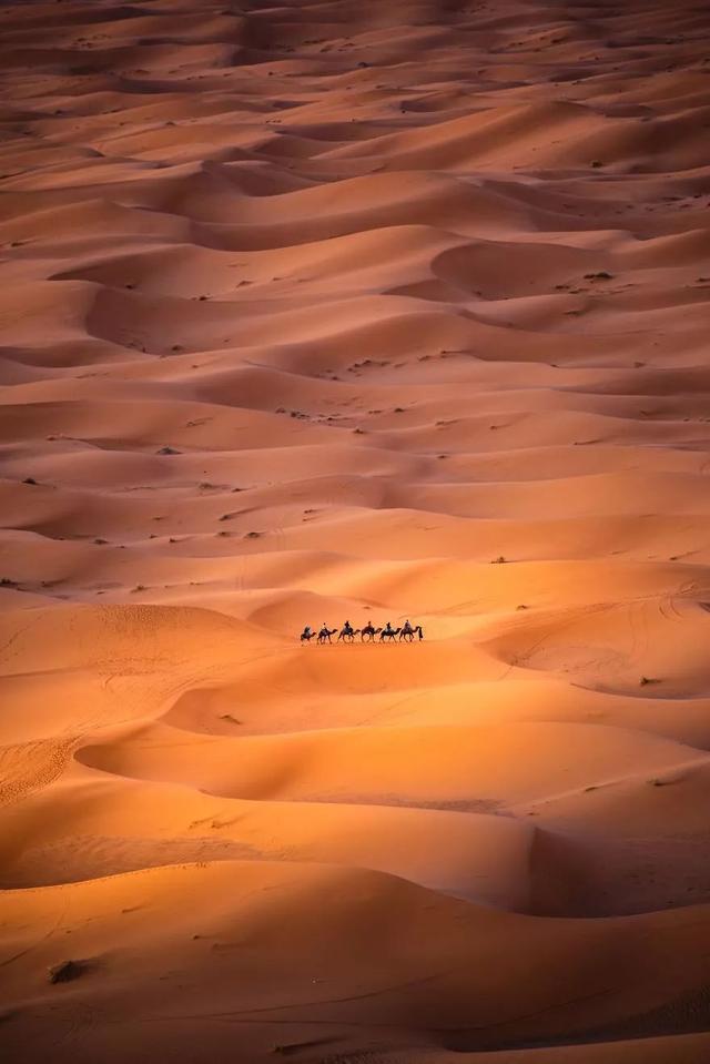 ӰƷأ