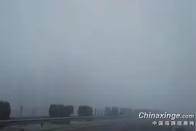 挑恶劣天放鸽 挑战极限图片
