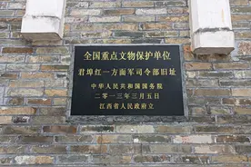 江西永丰发现三棵野生金丝楠木，网友说它是“牢底坐穿树”图片