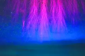 大自然的“烟花秀” 你见过吗？中国科大揭秘“红色精灵”闪电群图片