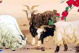 夫妻俩是这2生肖，白头偕老，越老越生财，旺财旺全家图片