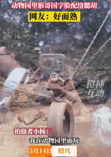 买到一盒肯德基猫爪蛋挞,我当场气死