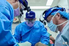 猪肾被移植进脑死亡者体内，至今还在工作中……图片