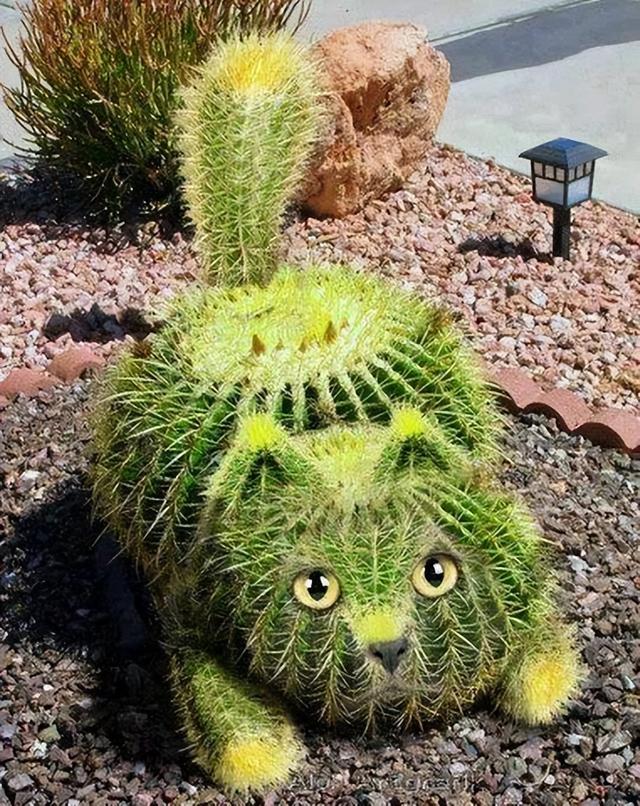 丑萌丑萌的植物雕塑