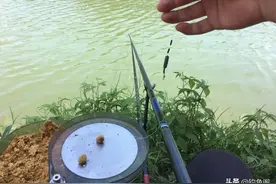 钓鲤鱼只学这2种调漂方法，不谈灵钝，能上鱼才是王道！图片