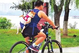 迎围观！岳阳一男子背着宠物狗在南湖骑行图片