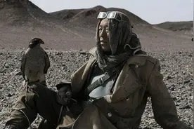 电影《无人区》的隼有多贵？一只100万美金，阿拉伯土豪的最爱图片