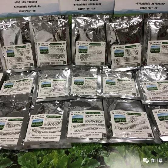 食叶草氨基酸多肽精蛋白与大健康产业