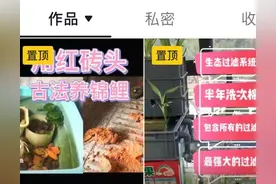 红砖当底砂古法养鱼，用最省的钱养省心的鱼图片