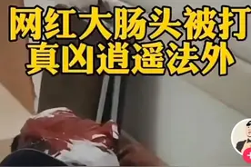 大明湖畔的大肠头又火了图片