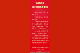 鹤壁高中2023年高考再创辉煌图片