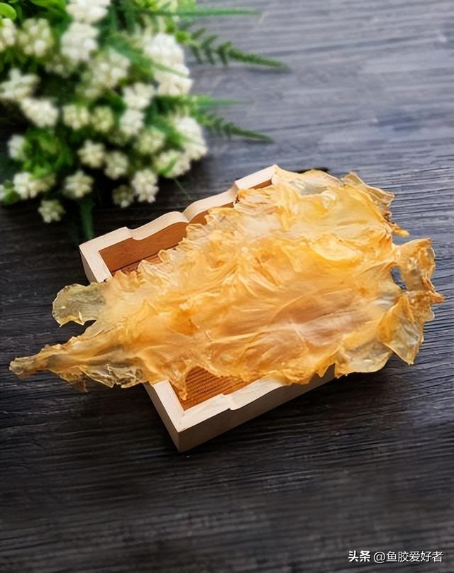 花胶筒和鳕鱼胶哪个好 花胶筒和鳕鱼胶哪个好一点