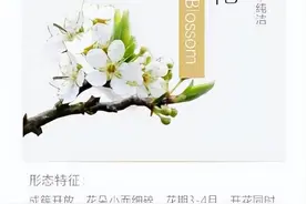 你能分清樱花、桃花、梨花、海棠、李花的区别吗？一起来涨知识吧~图片
