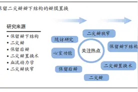 保留二尖瓣瓣下结构的瓣膜置换可促进瓣膜有效愈合图片