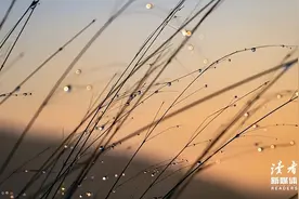 30岁以后，请过减法生活图片