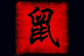 生肖属鼠的你,前半生劳碌命！晚年苦尽甘来，开始享福！图片