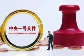 农村宅基地发生了新变化，中央一号文件有规定，可以找到答案图片