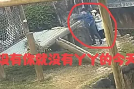 丫丫能活着回到北动，我们首先要感谢王鹏奶爸和兽医奶妈，抱拳了图片