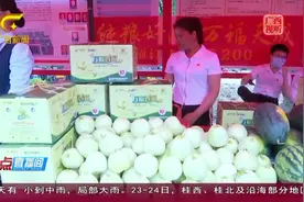 广西广播电视台 | 港南区：香瓜节来了！ 去当一回“吃瓜群众”图片