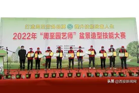 周至县举办首届盆景造型技能大赛图片