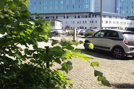 我在法国做胃肠镜的经历图片